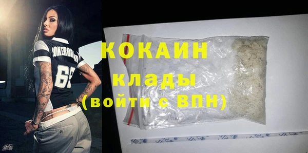 дживик Богородск
