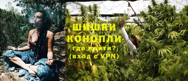 дживик Богородск