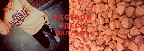 дживик Богородск
